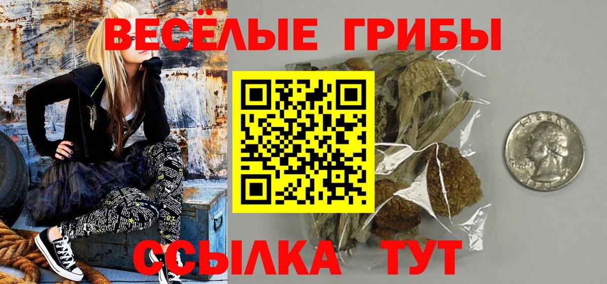 Галлюциногенные грибы GOLDEN TEACHER  Вход с VPN  Галлюциногенные грибы мицелий  Воркута 