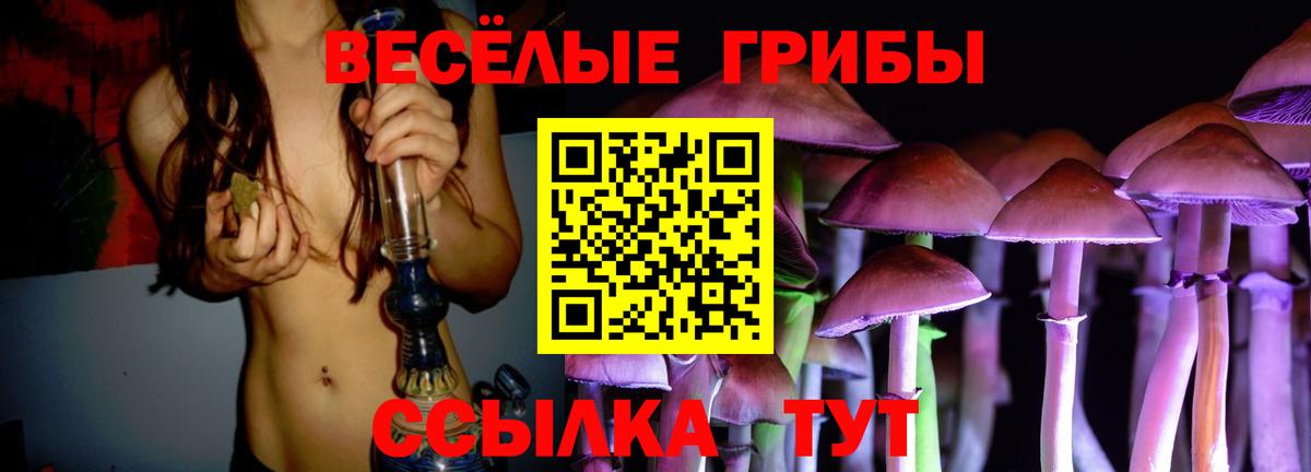 Галлюциногенные грибы Cubensis Воркута